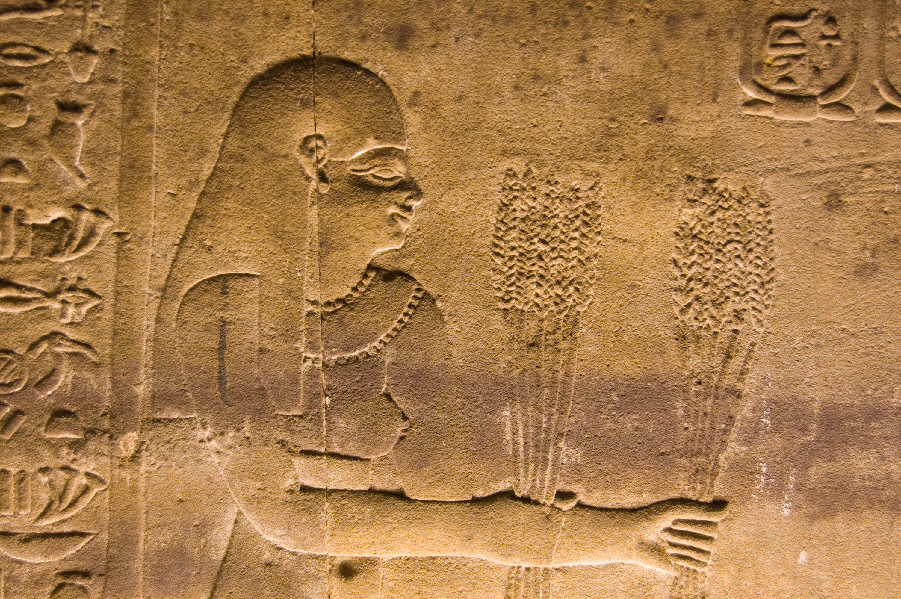 Области древнего египта. Пшеница в древнем Египте. Древний Египет Эстетика. Тот древний Египет. Мин древний Египет.